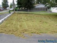 Lawn Thatching 9
