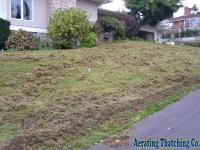 Lawn Thatching 4